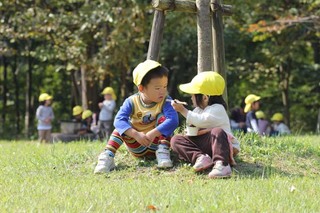 IMG_0272.jpg