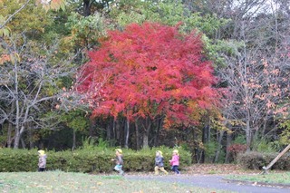 IMG_0989.jpg