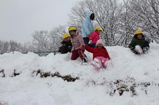 IMG_1341.jpg