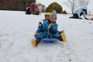 IMG_1633.jpg