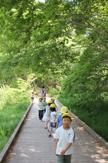 IMG_2679.jpg